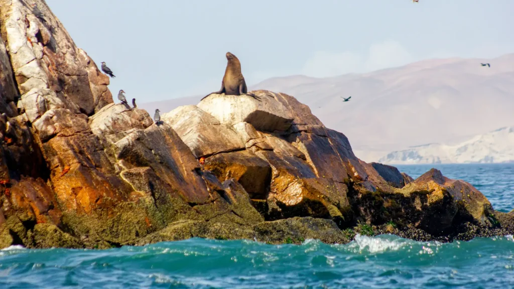 Cusco and Lima (6 Days)