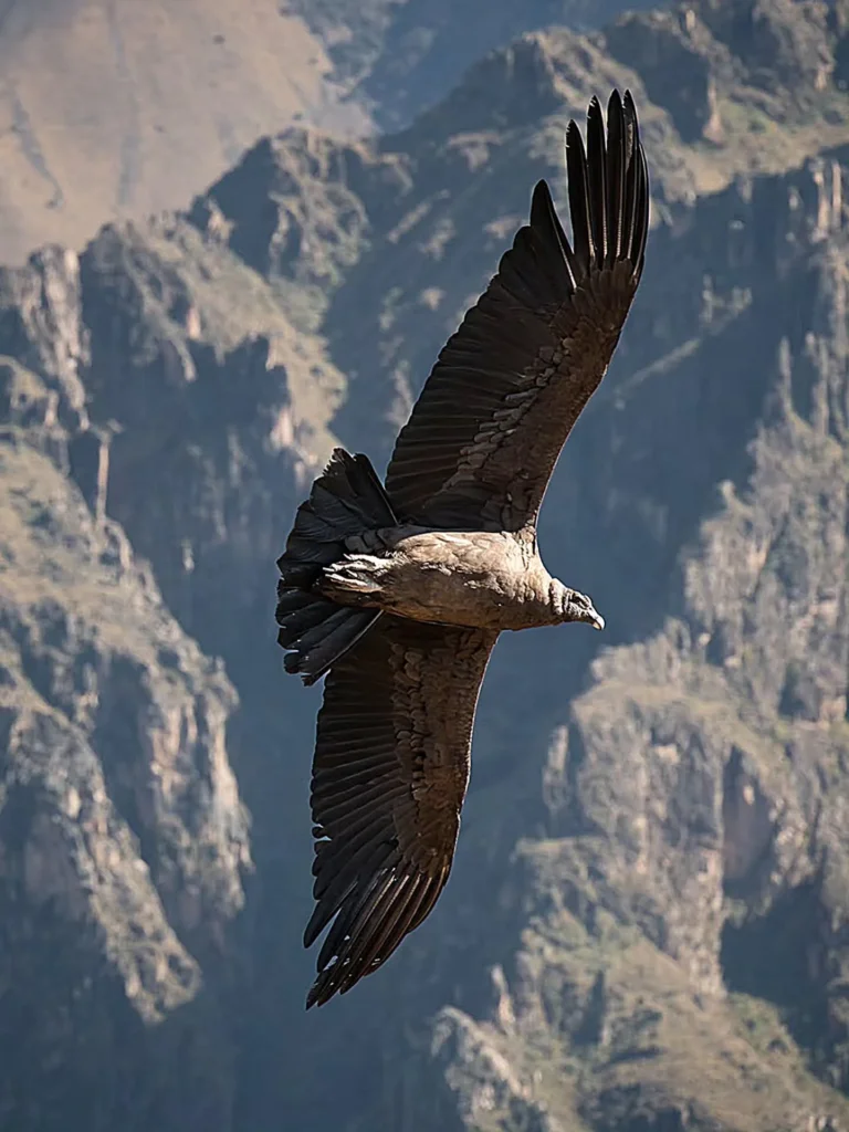 Perú Package: Lima, Cusco, Arequipa and Puno – 13 Days