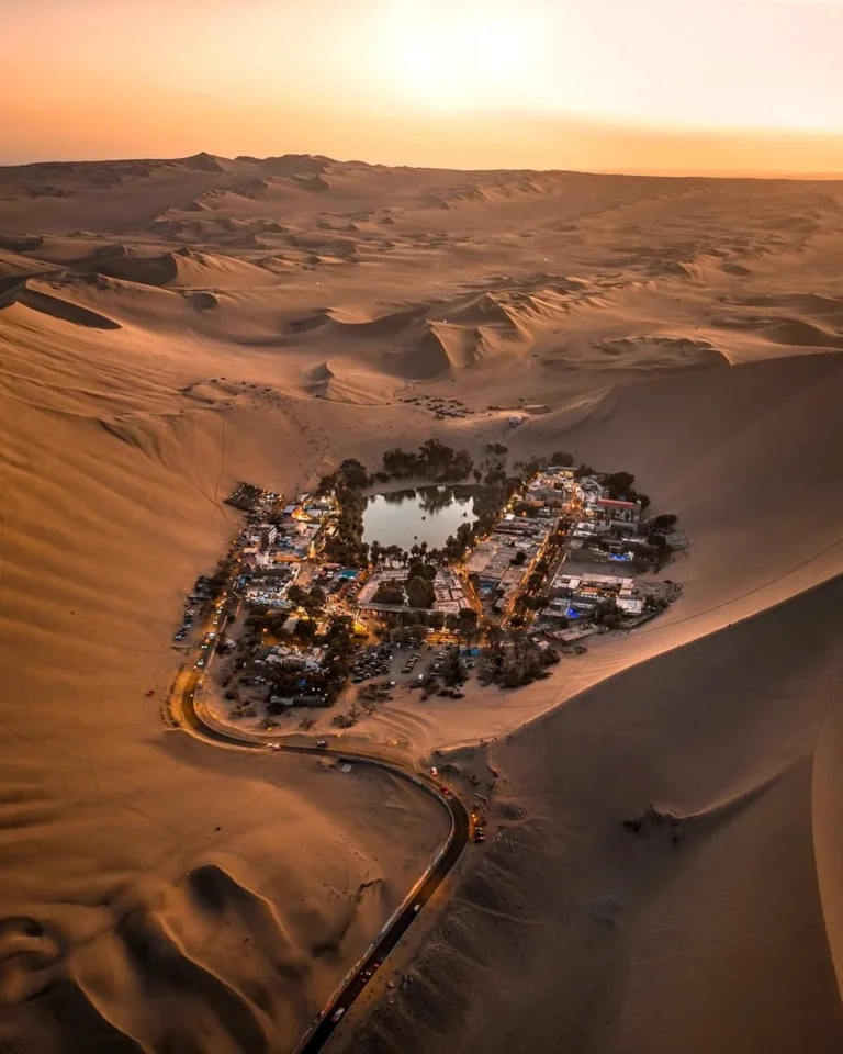 Huacachina oasis, Ballestas islands and Vineyard